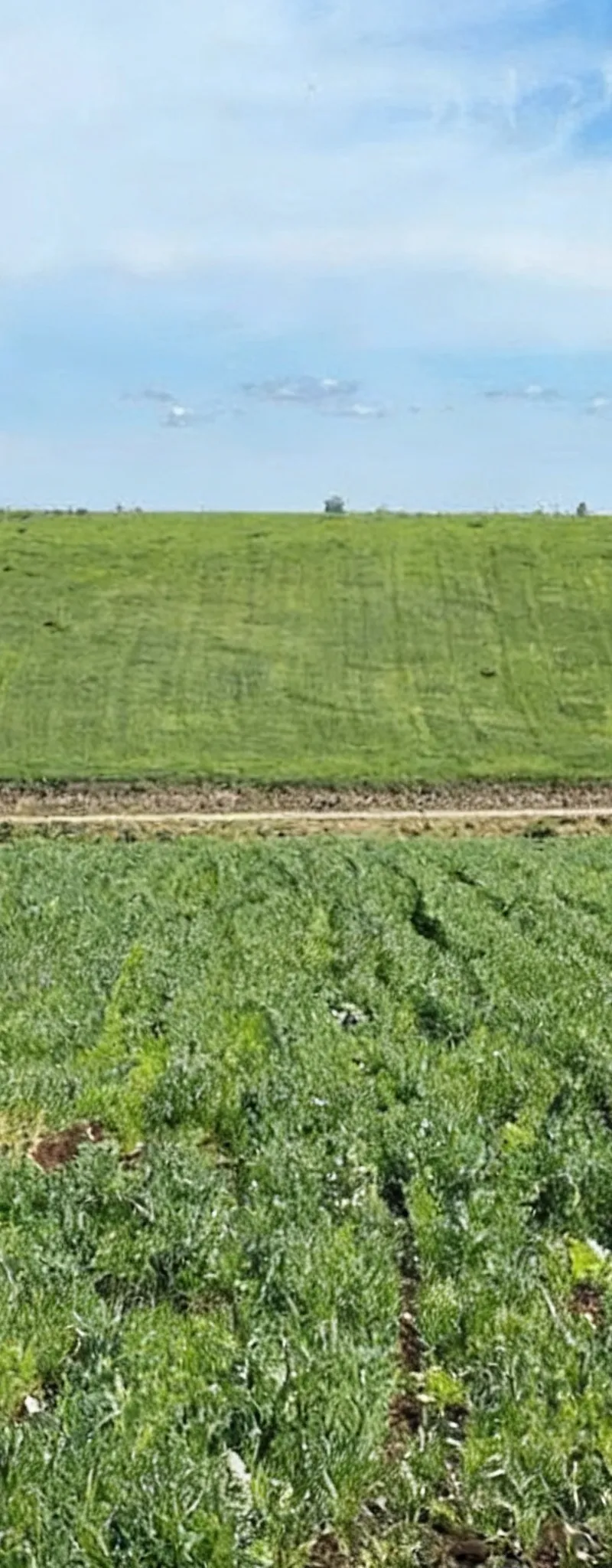 Terrains Titrés avec Vue Mer – Sidi Rahal