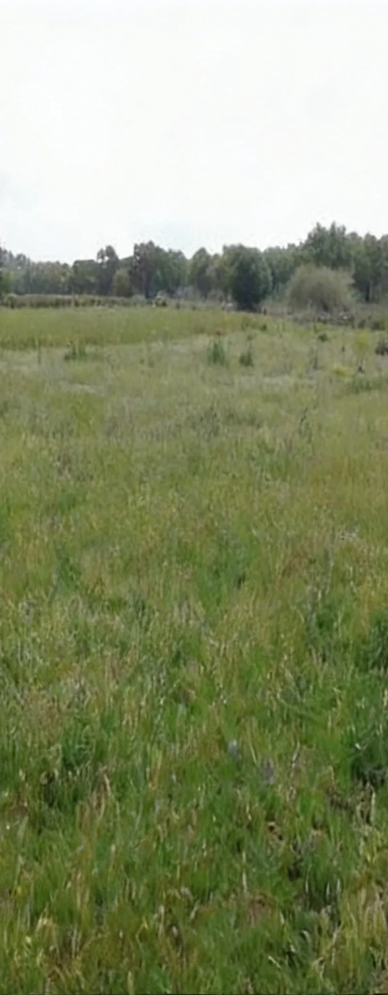 Terrains agricoles enregistrés – Sidi Rahal