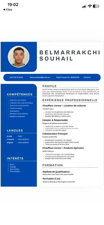 Chauffeur sérieux et ponctuel – Disponible immédia - Berrechid