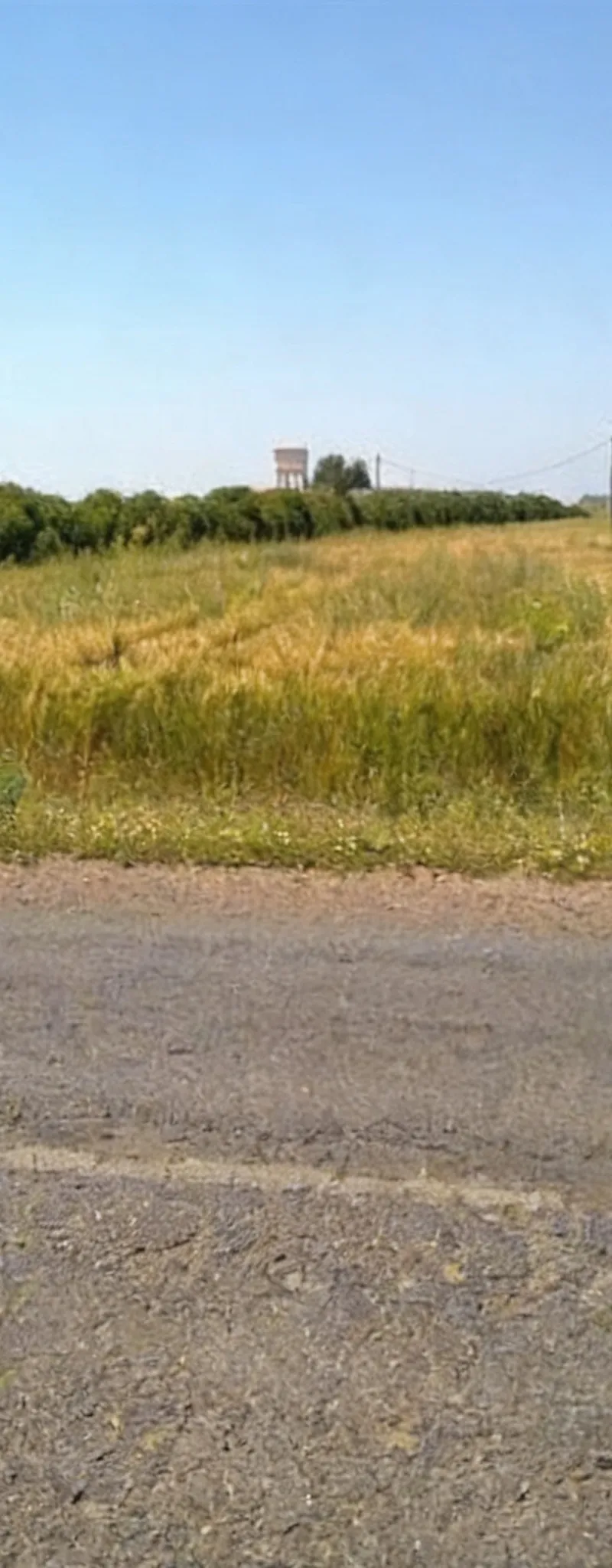 Terrains agricoles titrés El-Jadida pour habitation et investissement