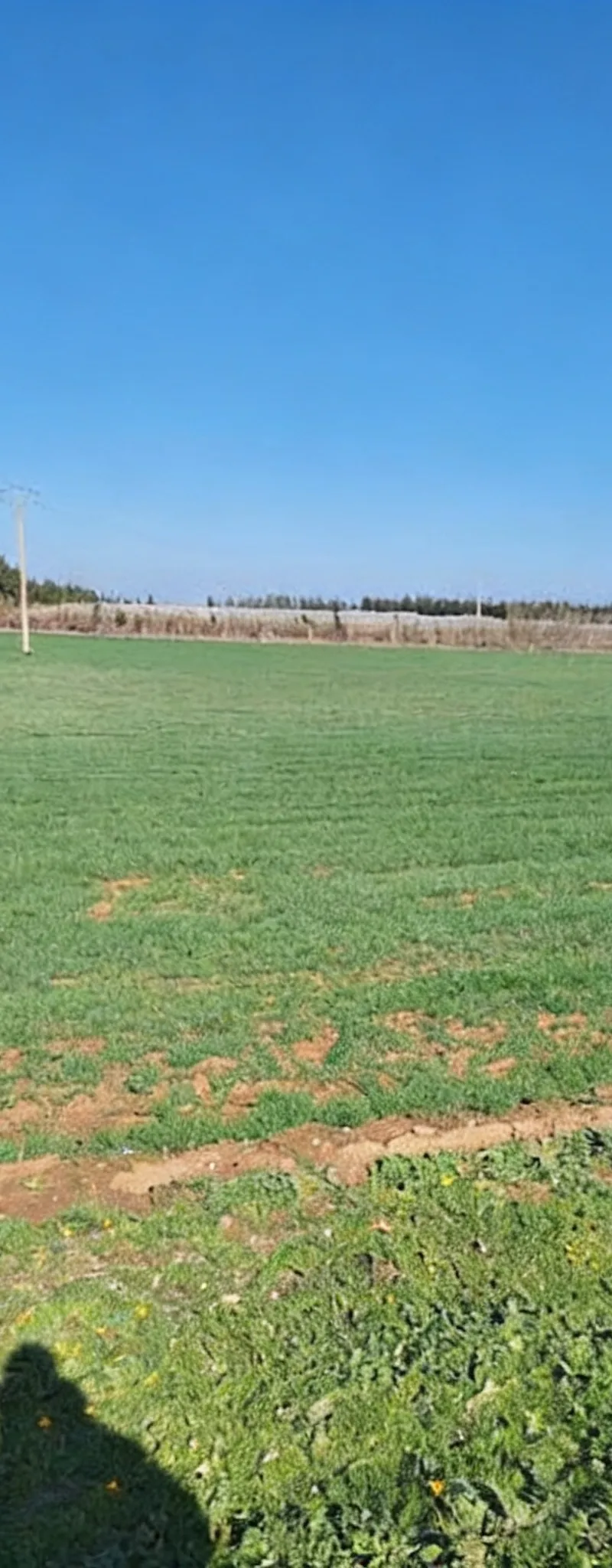 Terrains agricoles titrés – Sidi Rahal