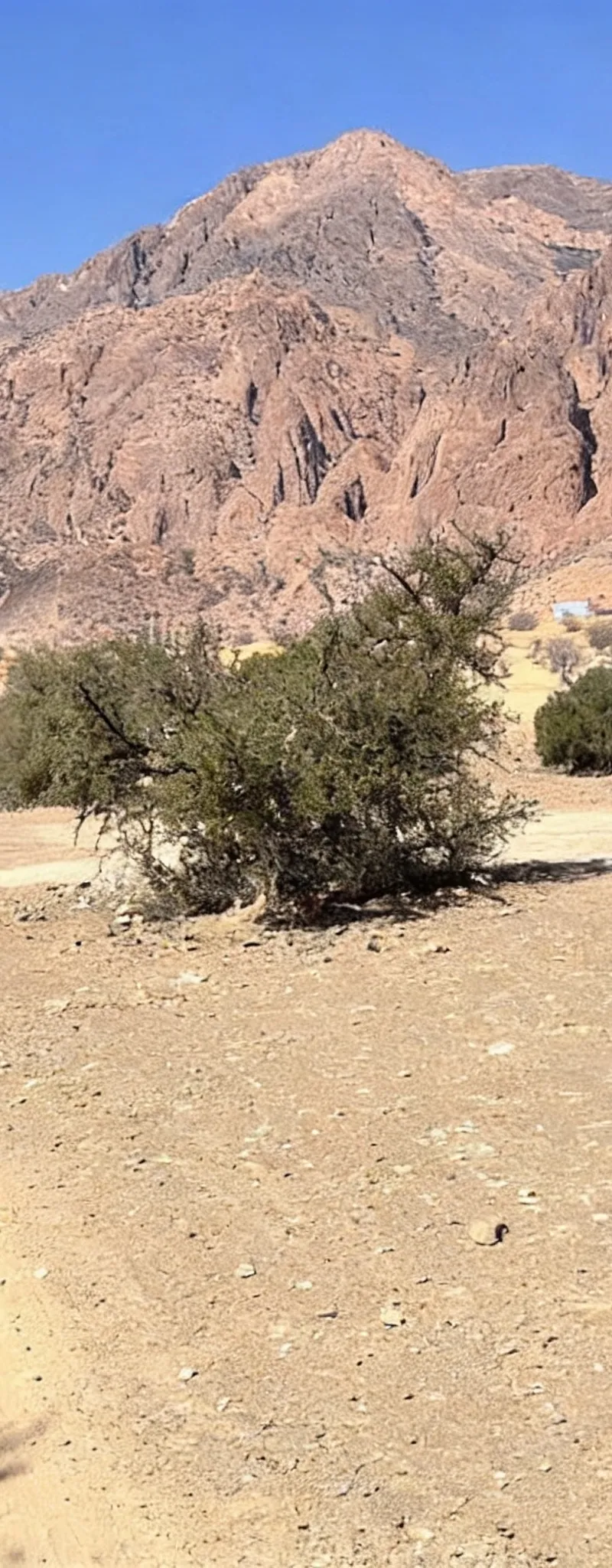 Terrain Titre à vendre à Tafraoute