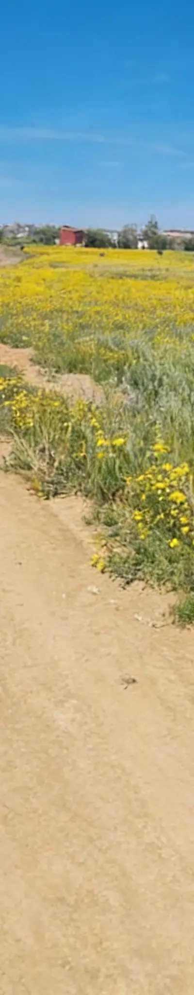 Vente de terrains conservés - Sidi Rahal - Vue sur mer