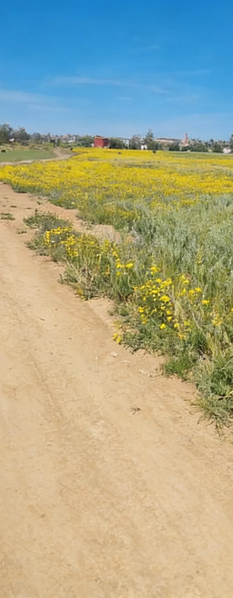 Vente de terrains conservés - Sidi Rahal - Vue sur mer