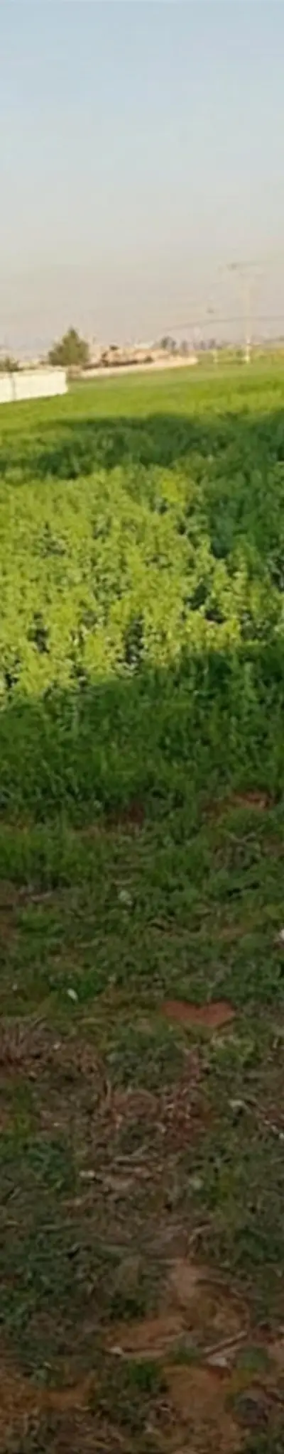 Vente de terrains & fermes titrés – Sidi Rahal