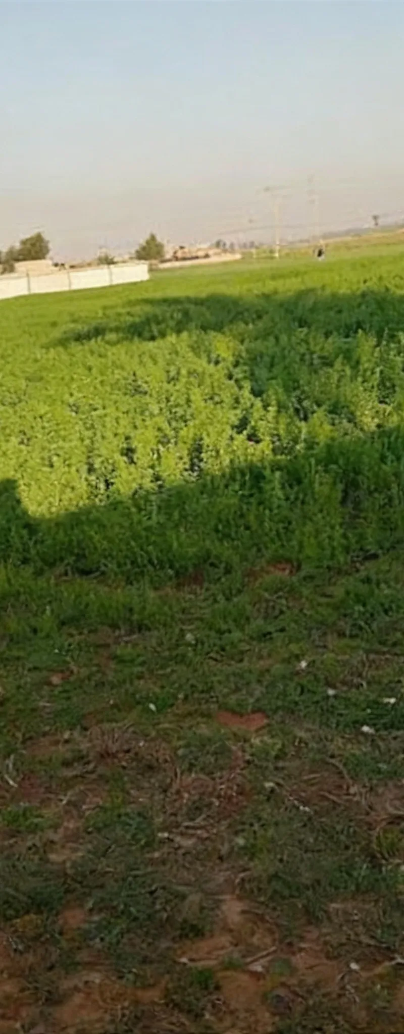 Vente de terrains & fermes titrés – Sidi Rahal