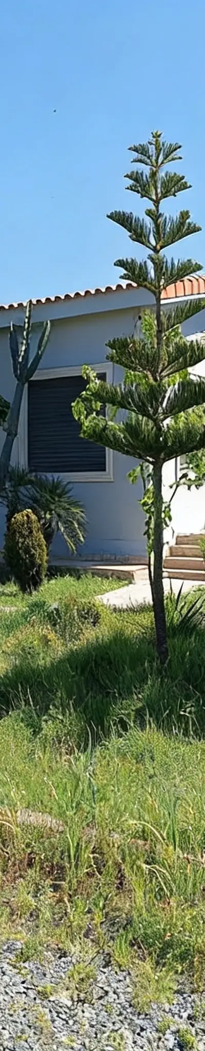 Ferme avec villa à vendre Benslimane