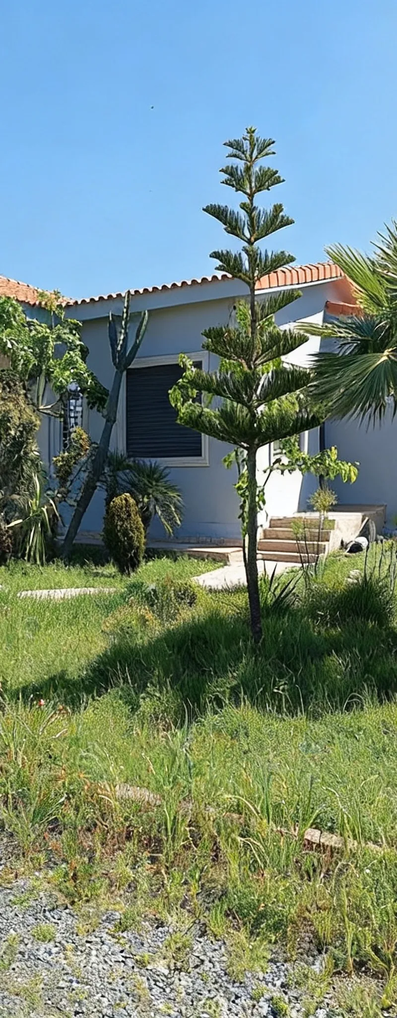 Ferme avec villa à vendre Benslimane
