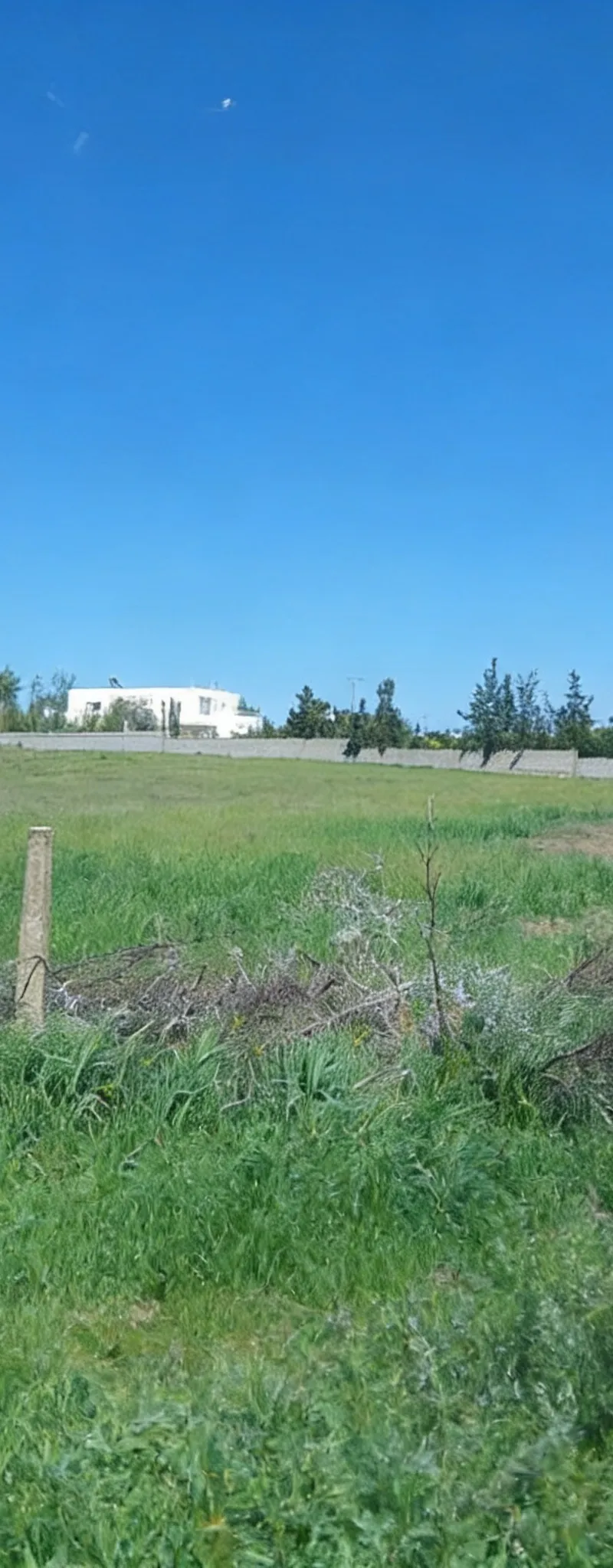 Terrain en vente
