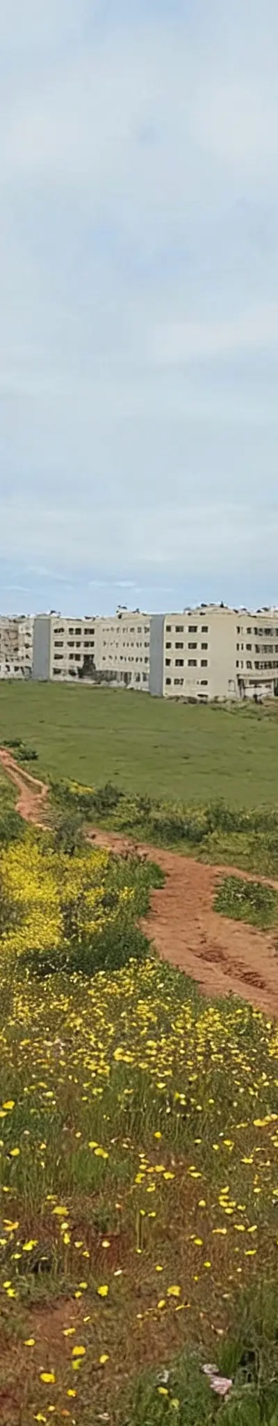 Ter 6ha titre R4 sala el jadida