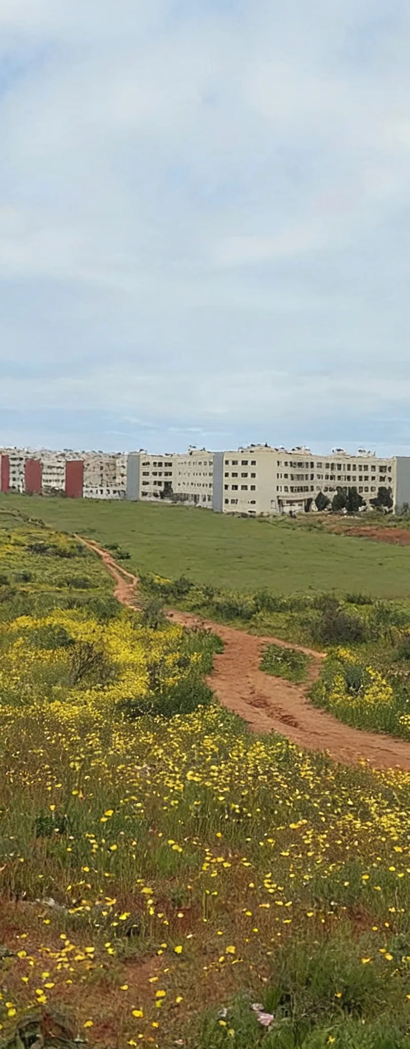 Ter 6ha titre R4 sala el jadida