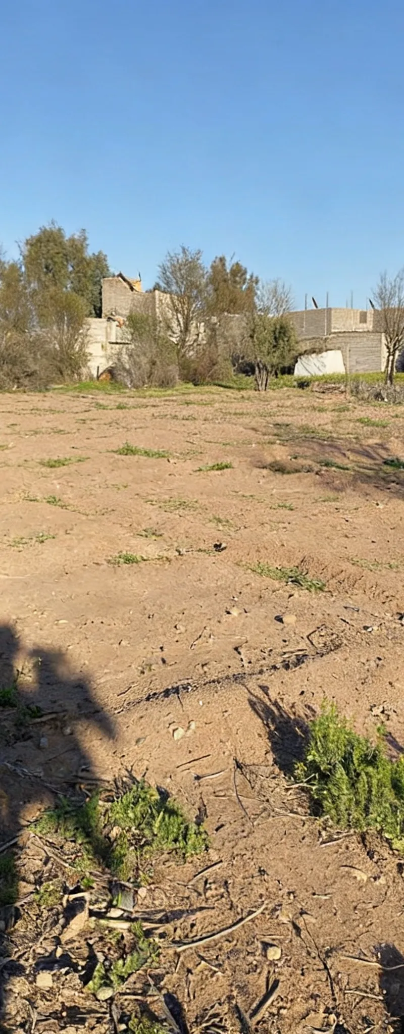 Terrain titré 1376m2