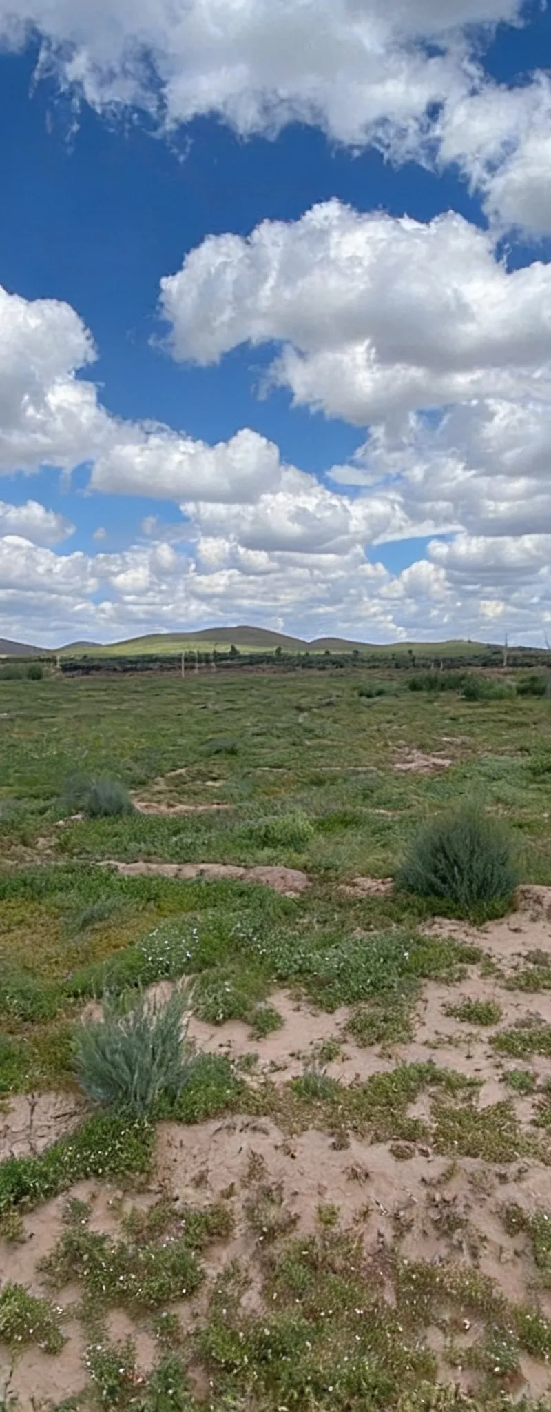  Terrain spécial à vendre près de Marrakech Superficie un hectare