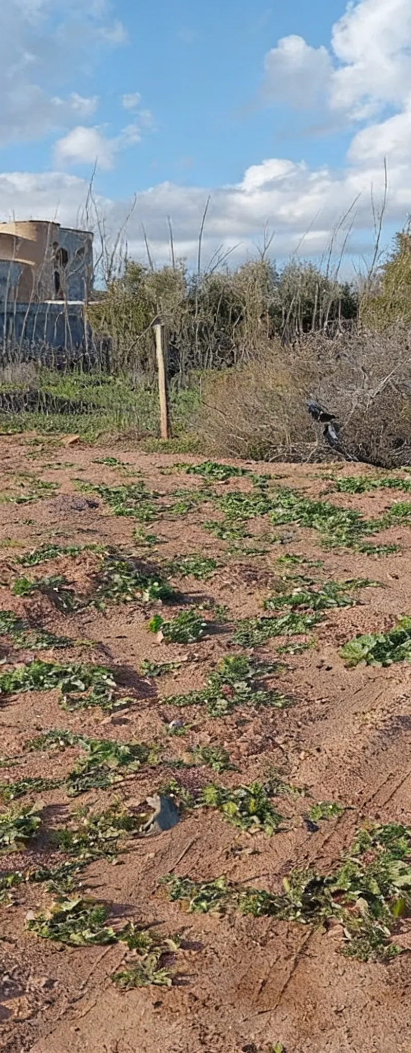 2 hectares propriété