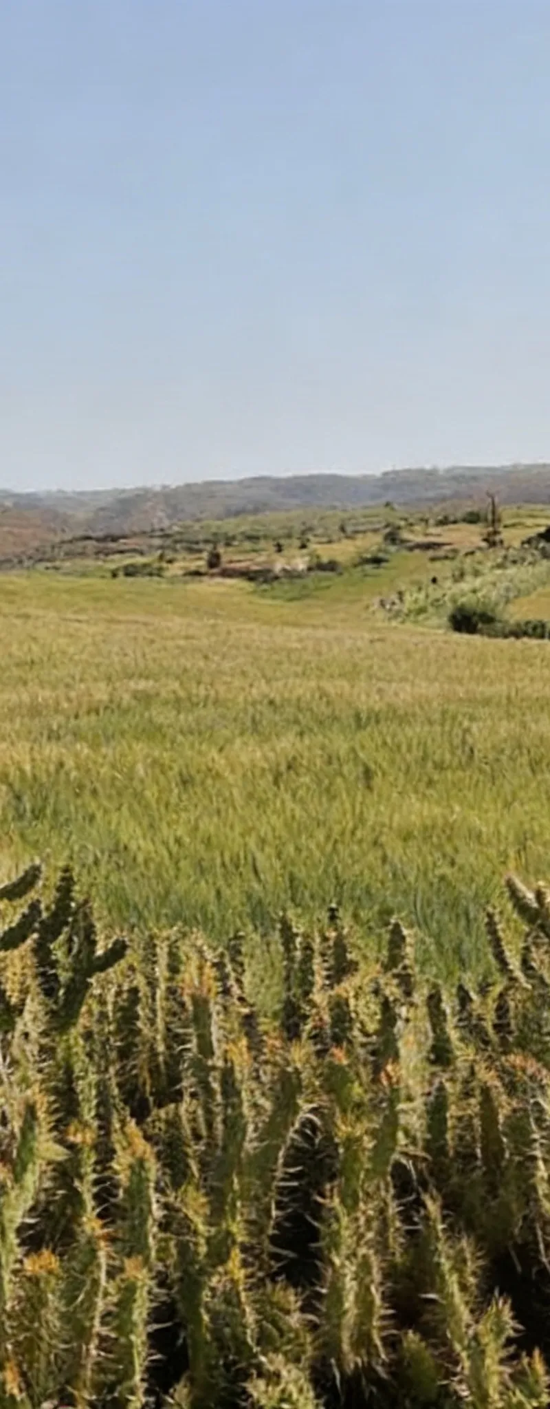 Terrain agricole enregistré à Khémisset