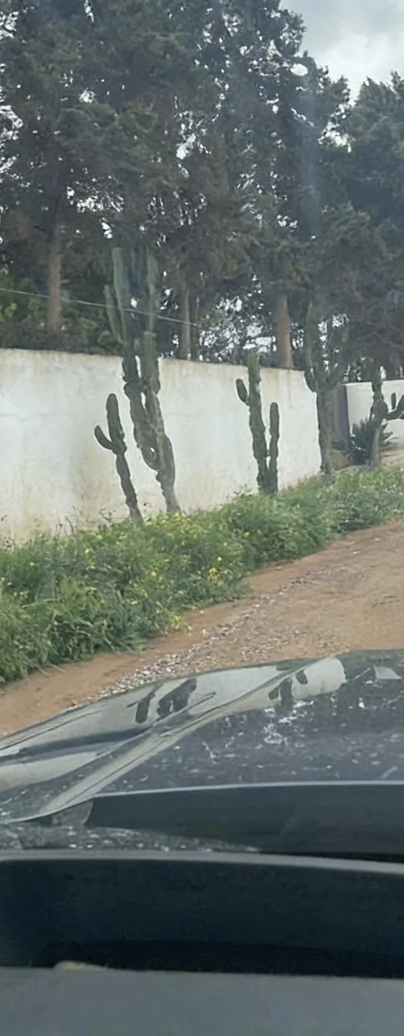Terrain zone villa Bouskoura Labissa