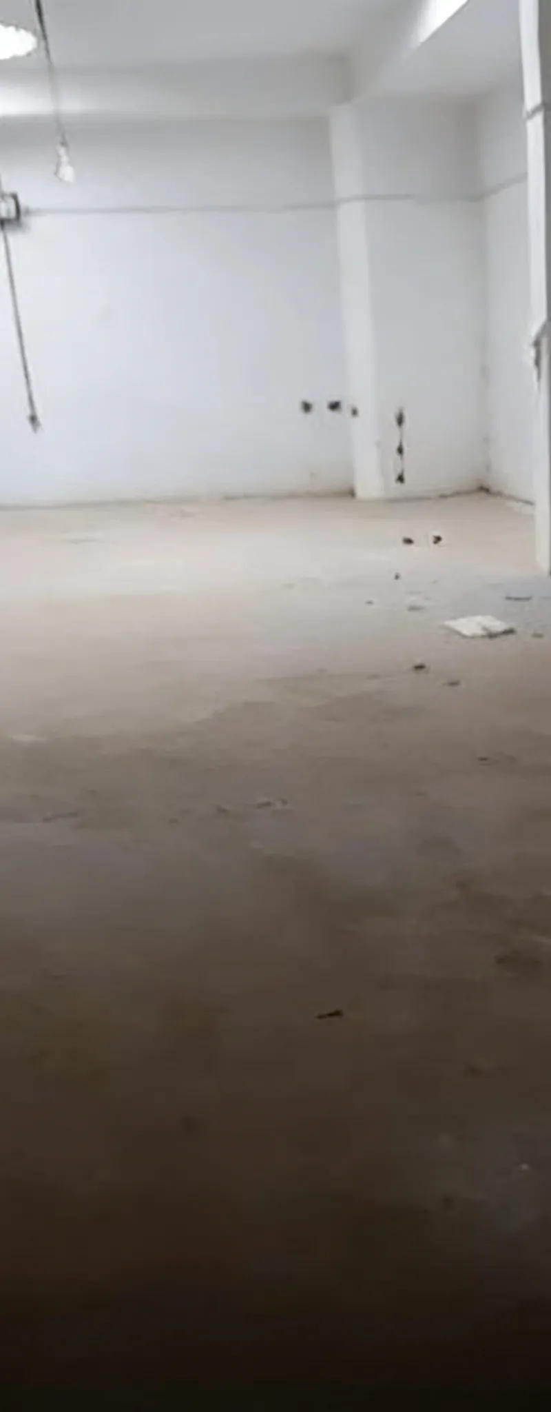 Entrepôt à louer