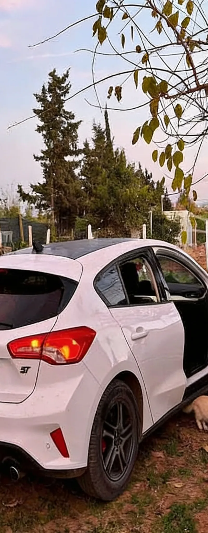 FORD Focus 2021 Diesel Occasion Kénitra Maroc