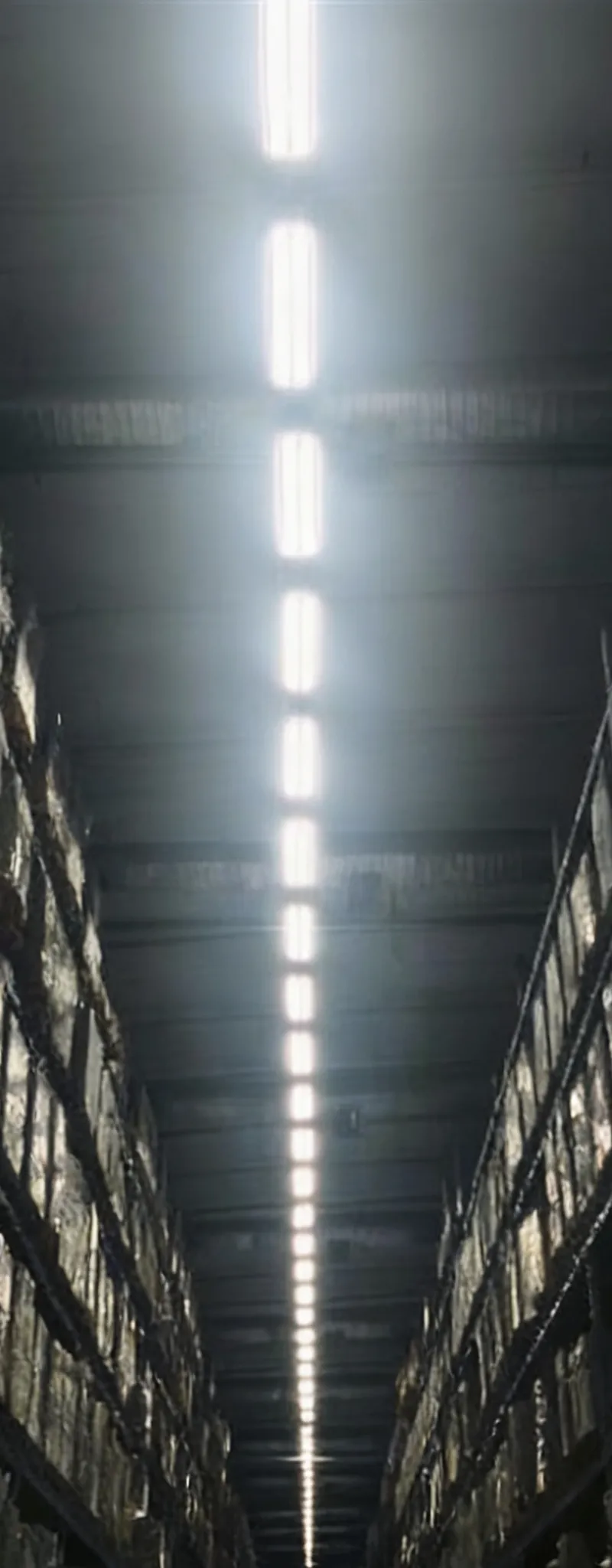 Location dépôt de stockage 640 m² – Bouskoura