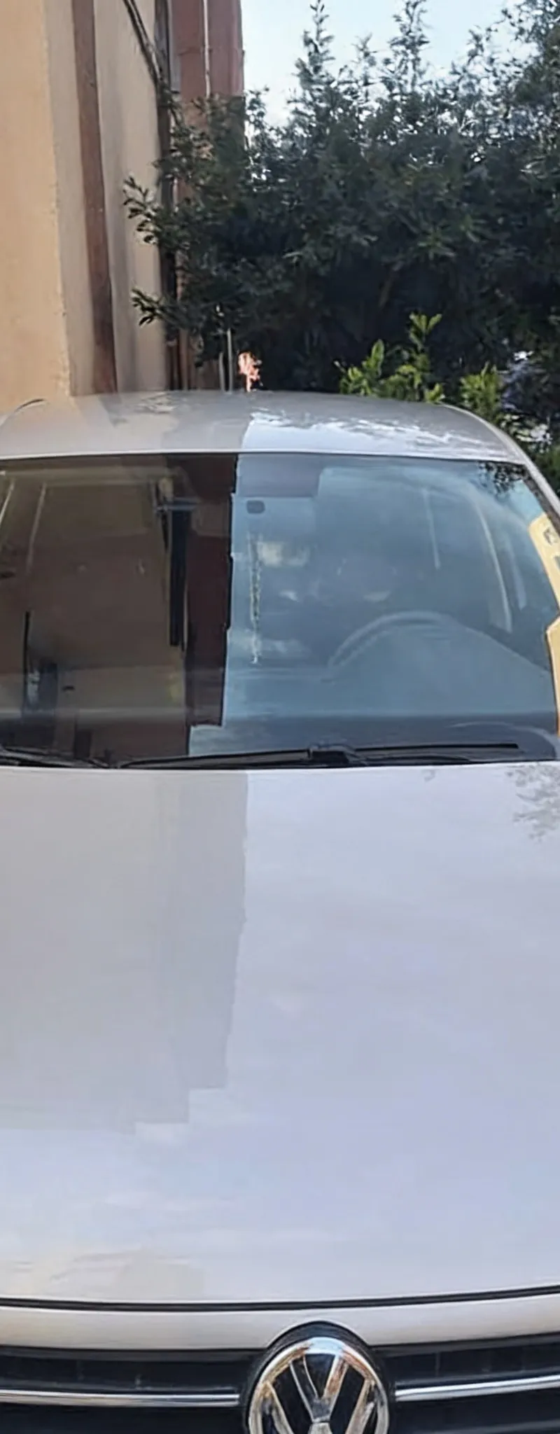 VOLKSWAGEN Polo 2019 Essence Occasion Marrakech Maroc