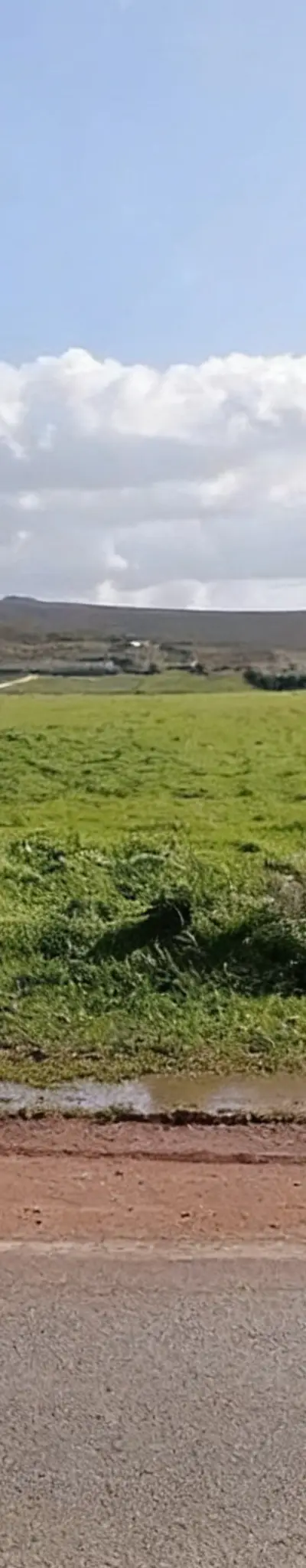Terrain agricole 5 hectares à El Hajeb