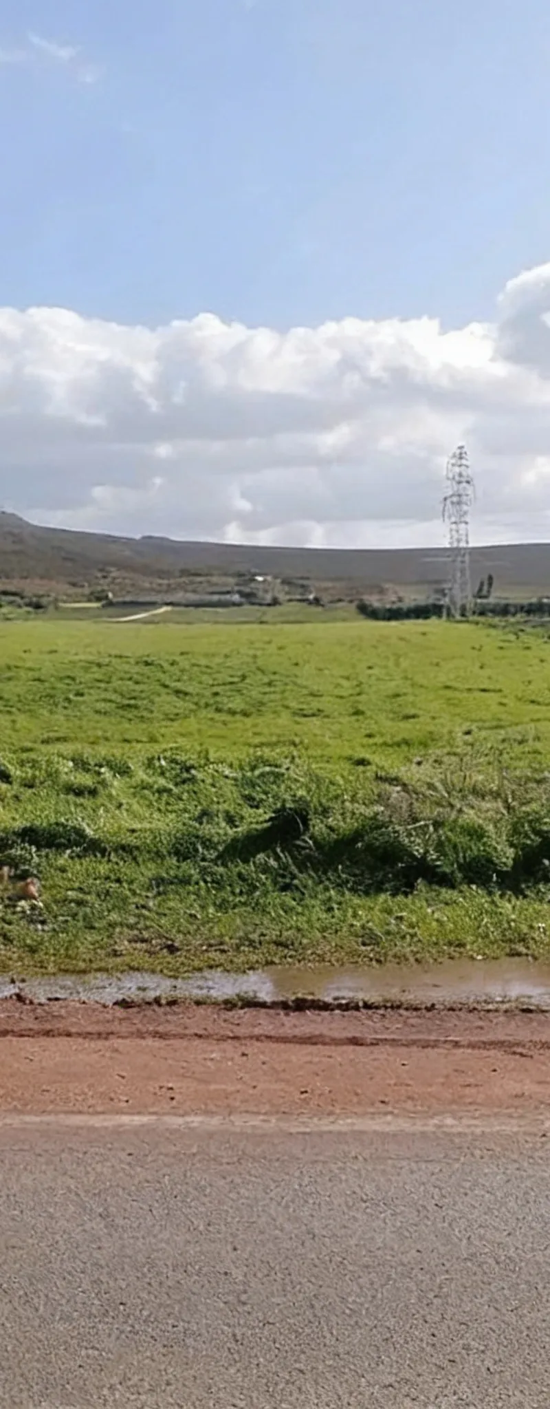 Terrain agricole 5 hectares à El Hajeb