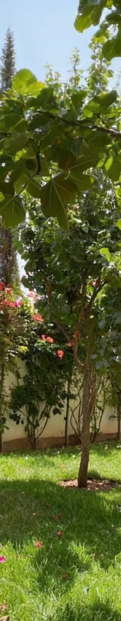 A vendre Villa Sidi Yahia Zaërs