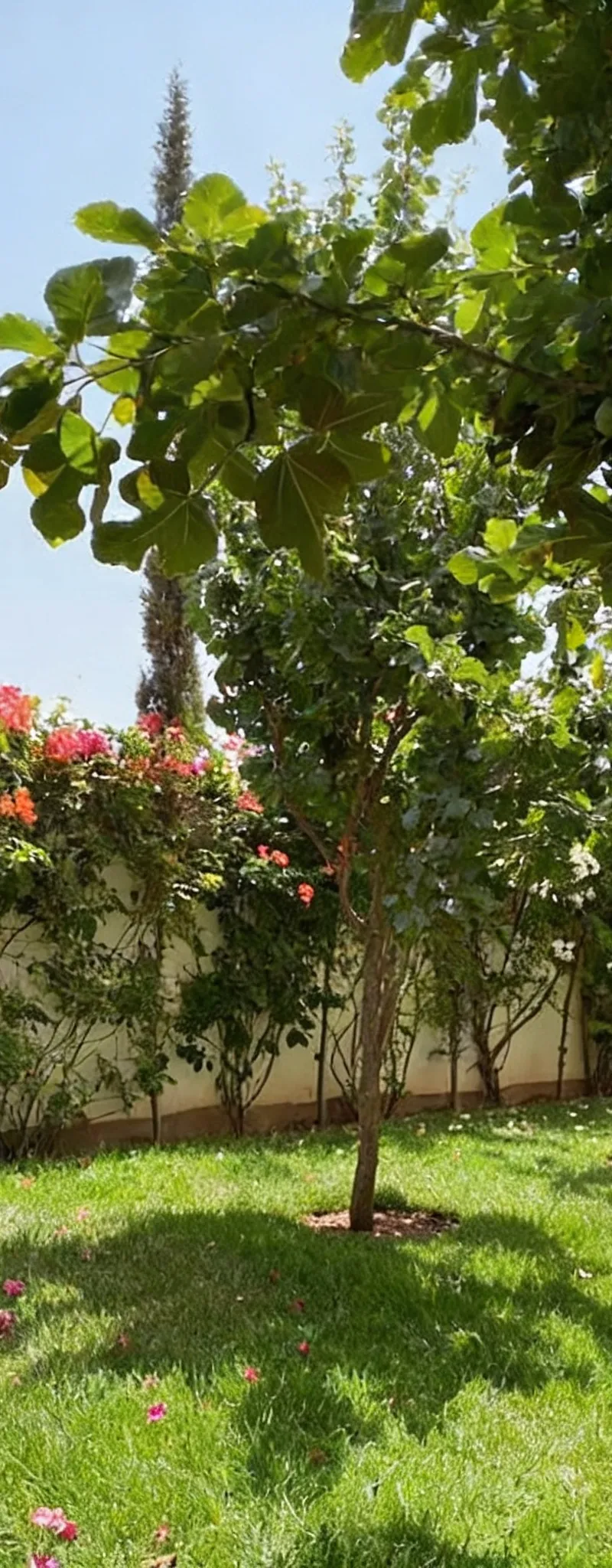 A vendre Villa Sidi Yahia Zaërs