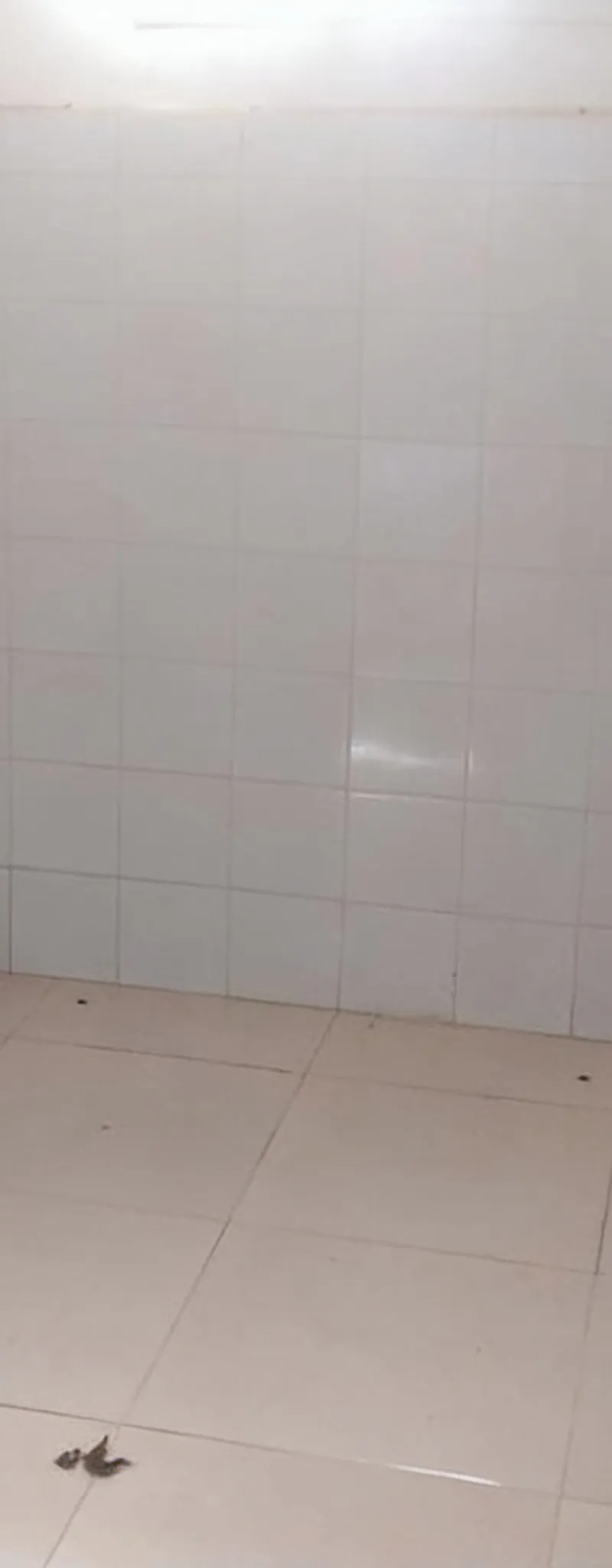 Appartement à louer 226 m² à Fès