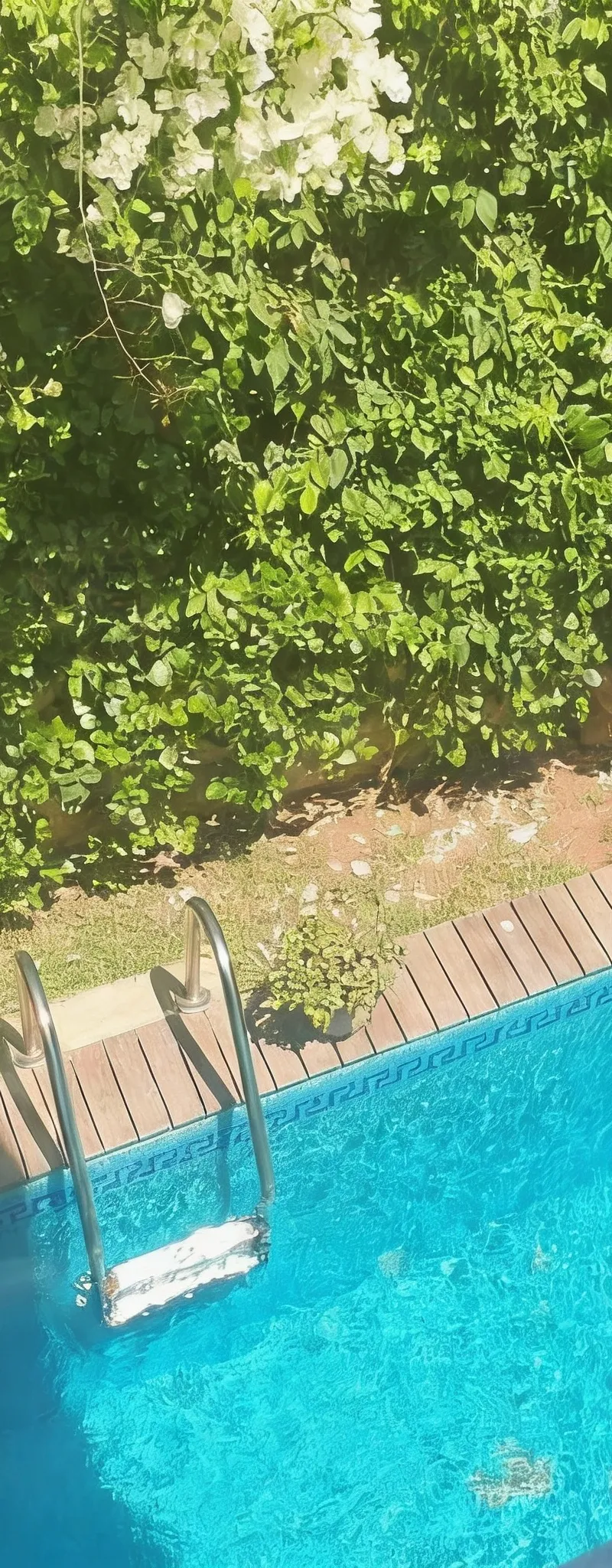 Location Local 4 pièces de 293 m2 à Casablanca