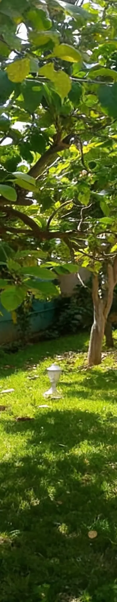 Villa à vendre bien ensoleillée
