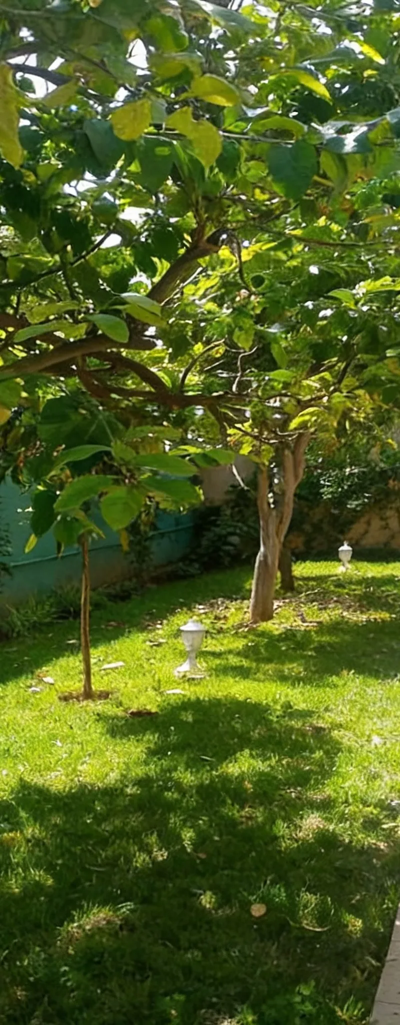 Villa à vendre bien ensoleillée