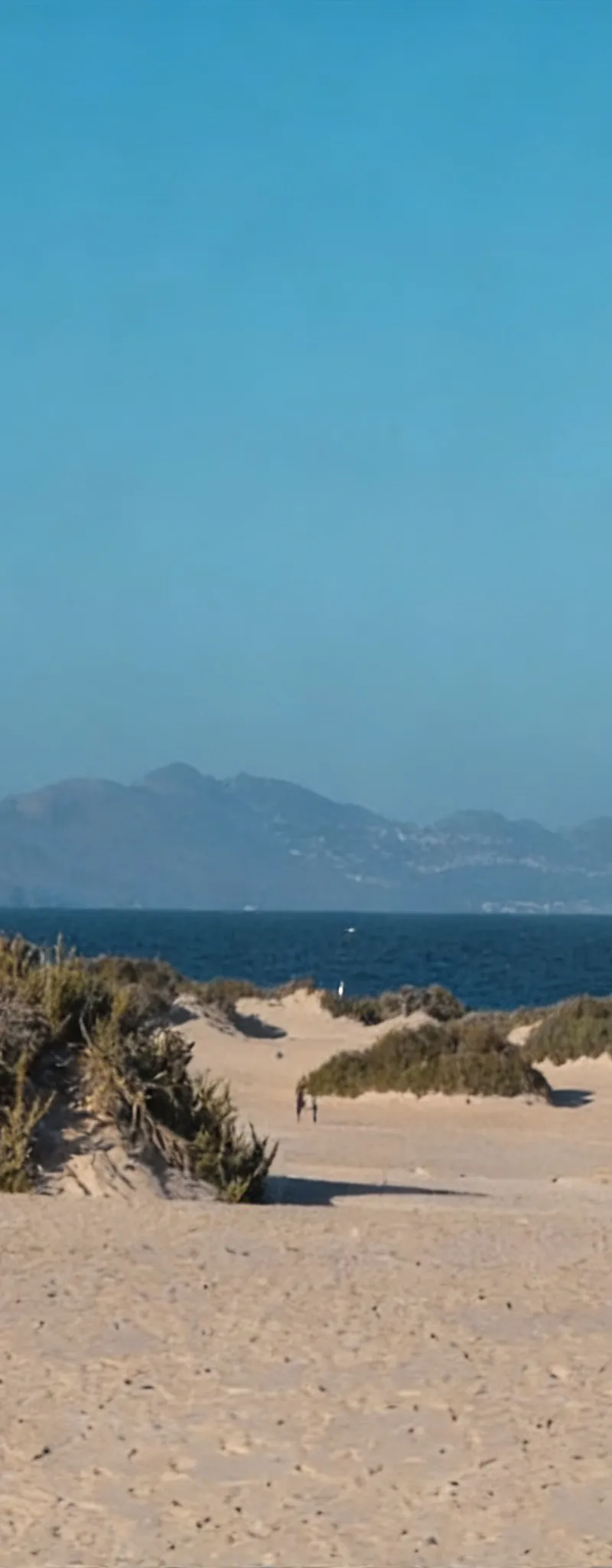 Vendre terrain Taghazout 3600m prêt plage 4km