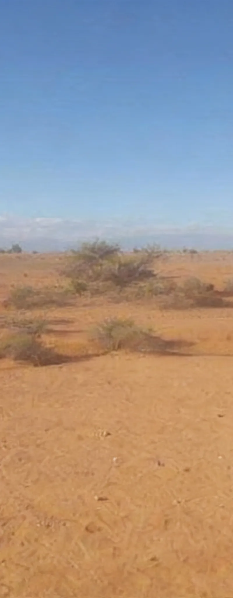 Terrain a Taroudant titre 4 hectares agricole
