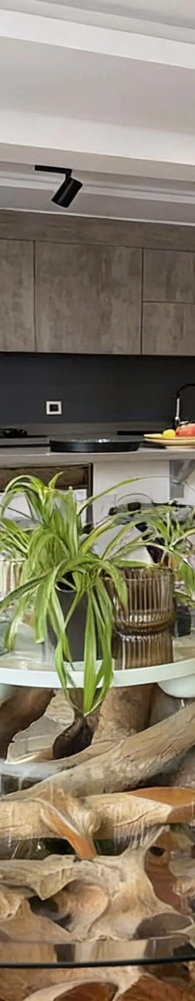 Appartement au cœur de Gauthier