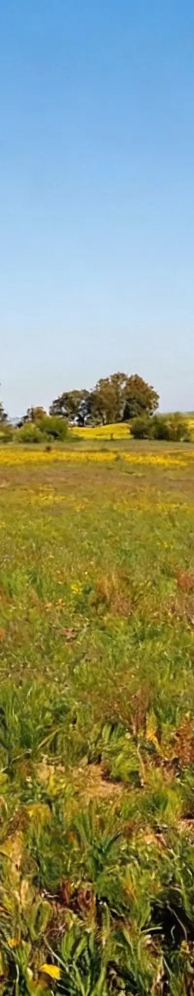 Ferme à vendre