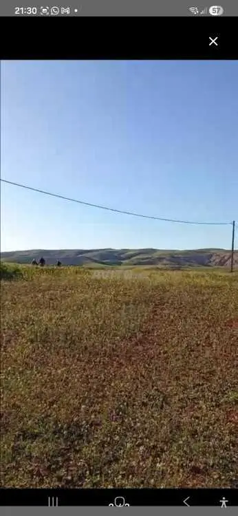 Terrain agricole Region khemisset