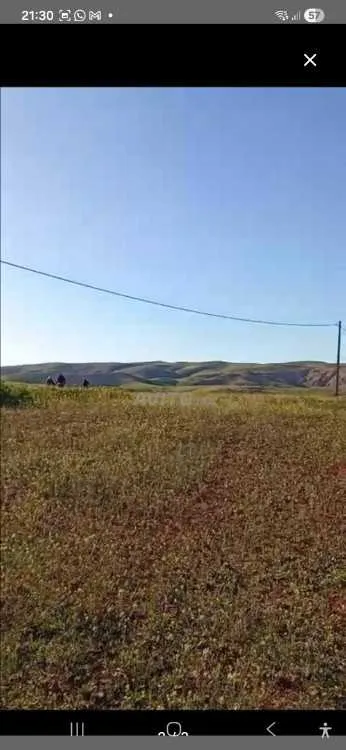 Terrain agricole Region khemisset