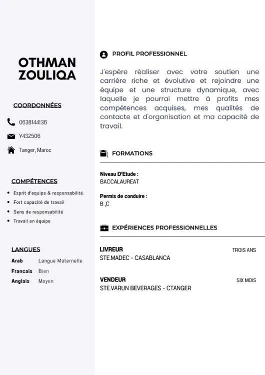 Chauffeur routier/livreur