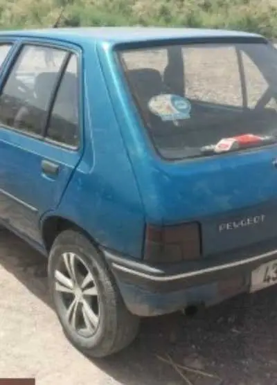 Peugeot 205 à vendre dans letat
