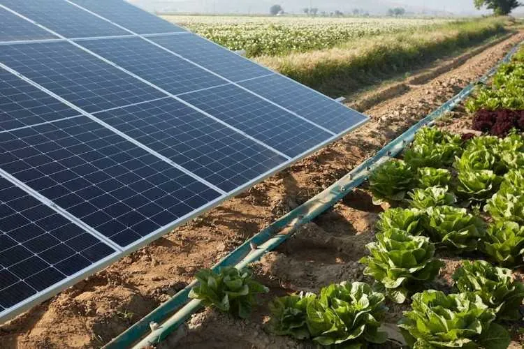 Énergie solaire et irrigation
