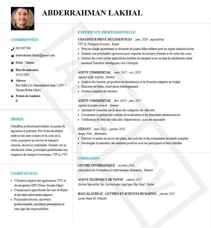 Chauffeur Professionnel
