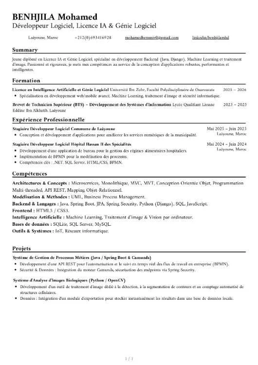 Responsable informatique / Développeur logiciel