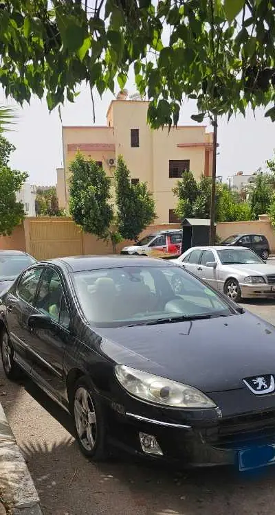 🚗 Peugeot 407 2.0 HDi BVA – Modèle 2006