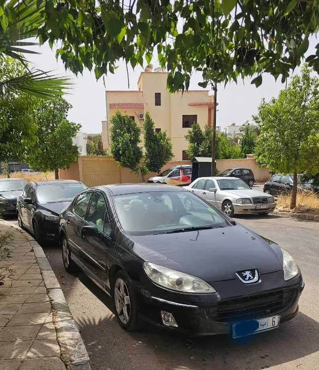 🚗 Peugeot 407 2.0 HDi BVA – Modèle 2006