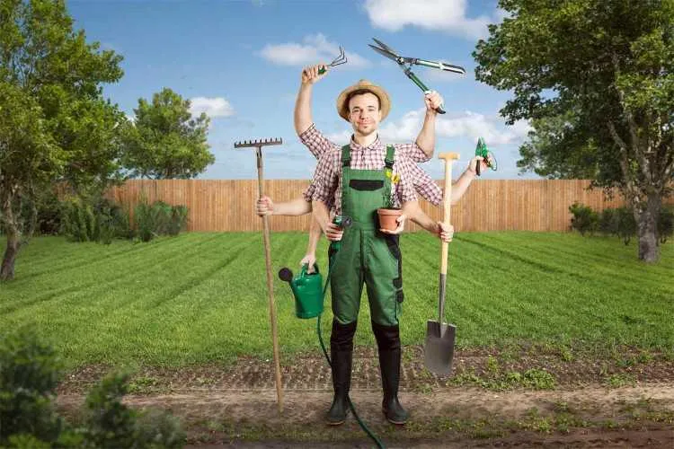 Jardinier gardien cherche travail